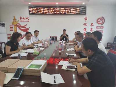 民盟江津区委开展 “民营企业百日大走访活动”之--珞璜镇