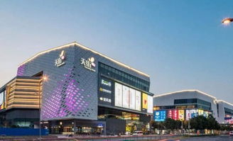 中国最富 包租婆 每年收租25亿,离婚分给老公200亿
