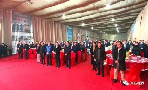 12月8日 重庆市渝联建材商会成立大会隆重举行