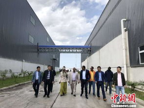 重庆老兵埃塞俄比亚 再创业 获多方点赞